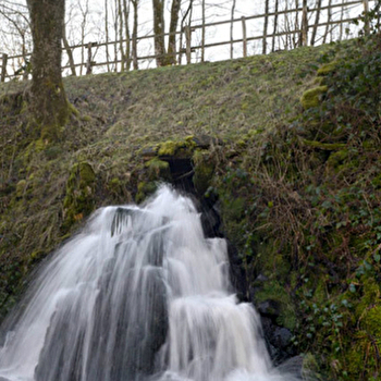 Balade numérique : sentier de la nature des Sources de l'Yonne - GLUX-EN-GLENNE