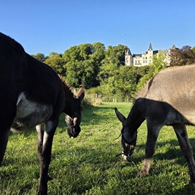 L'ÂÔMA (L'Âne Ôdacieux Médiation animale) 