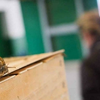 La Maison de Jacote by Jacot Billet - FESCHES-LE-CHATEL