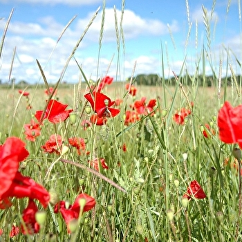 L'Estivalienne - ETEVAUX