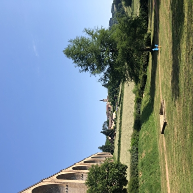 Les fleurs sous le viaduc