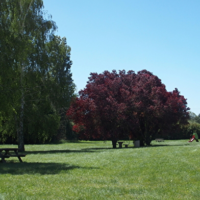 Aire de pique-nique de Collemiers