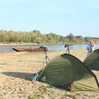 Sortie nature : Une nuit sur une île