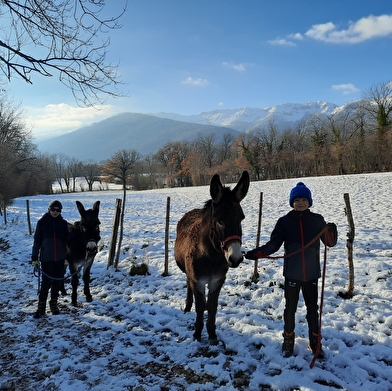 La flânerie d'Audrey