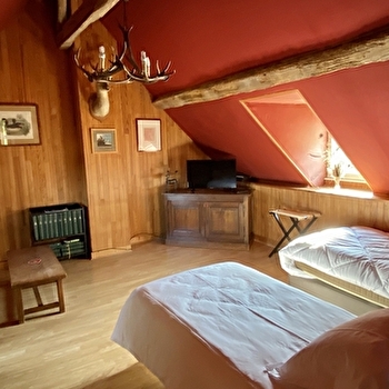 Le Cerf - TREIGNY-PERREUSE-SAINTE-COLOMBE