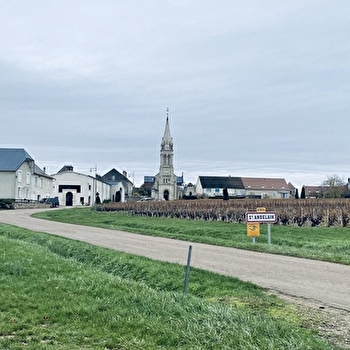 Chasse aux trésors 'Le mystère des géants' - SAINT-ANDELAIN