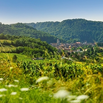 La Dame Verte Bois de Poligny - 112B - POLIGNY