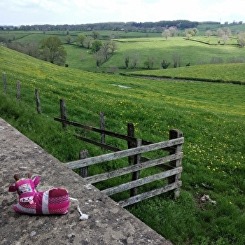 Jeu famille - A la recherche de Christophine - SAINT-CHRISTOPHE-EN-BRIONNAIS