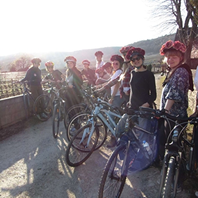 Balade à vélo dans les Crémants de Bourgogne