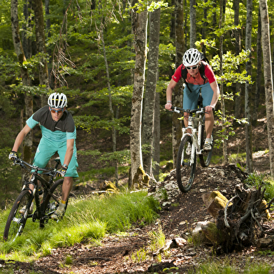 Bike Park de Longchaumois