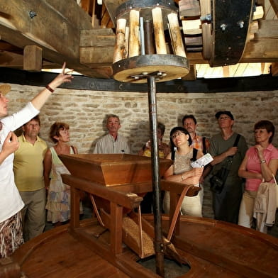 Visite guidée « à la découverte du moulin & du vignoble de Santenay »