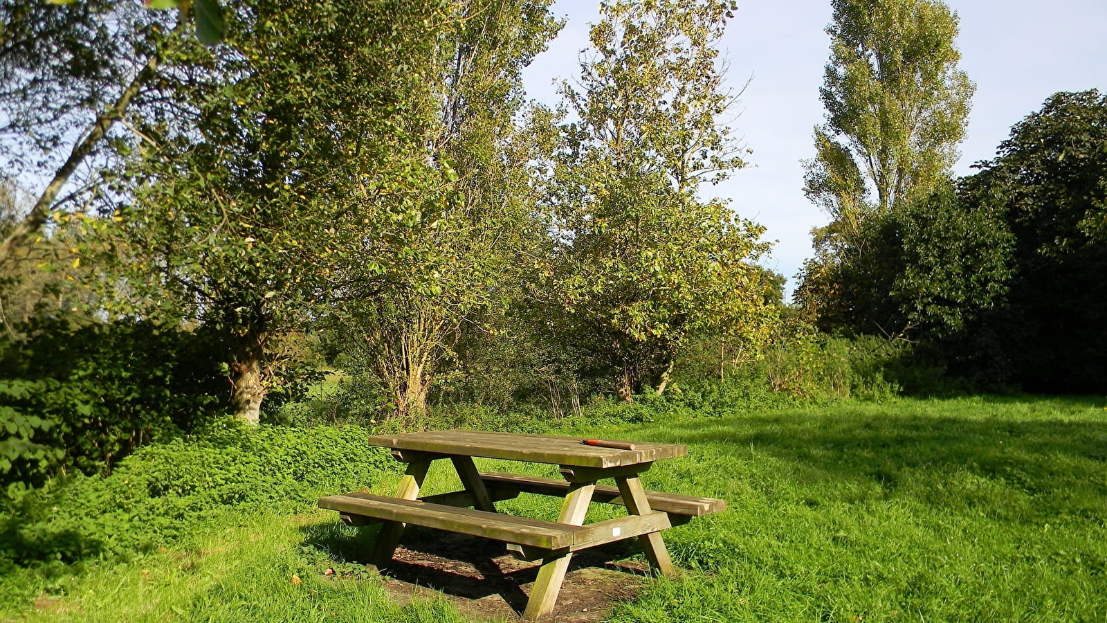 Aire de pique-nique du Grand Bois
