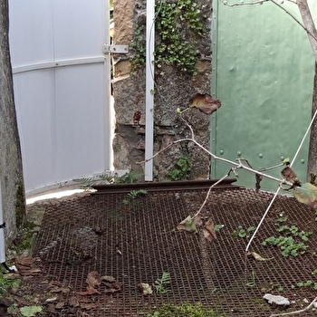 Puits n° 2 - SAINT-MARTIN-BELLE-ROCHE