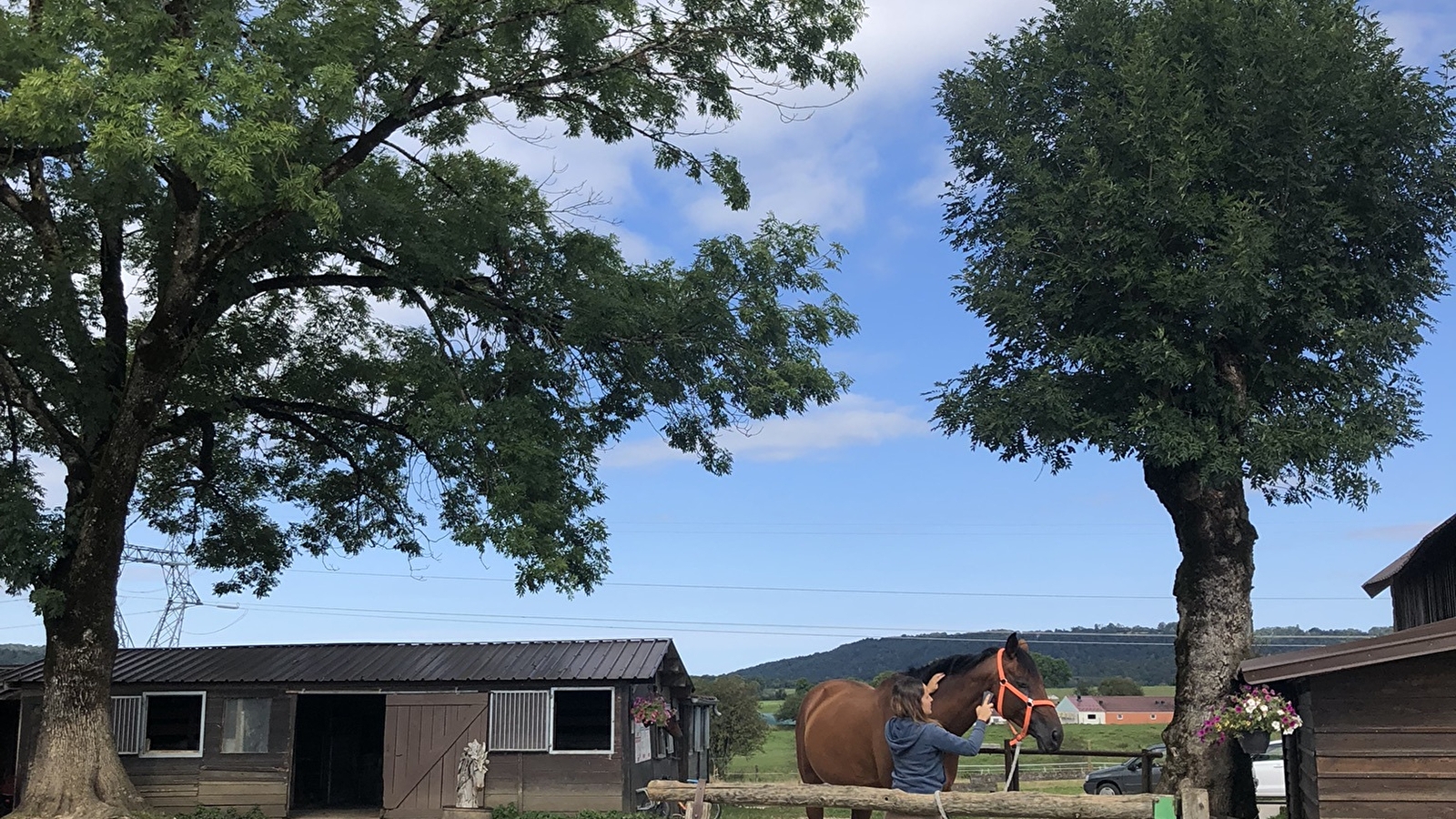 Centre équestre - Pierrefont' Équitation