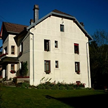 Les fleurs de coton - HAUT-DU-THEM-CHATEAU-LAMBERT