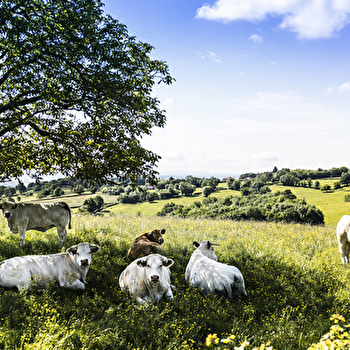 Panorama Christophien - SAINT-CHRISTOPHE-EN-BRIONNAIS