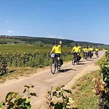 Bourgogne Sud et Nord | 10 jours - DIJON