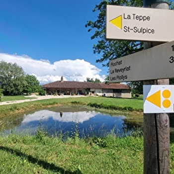 Circuit VTTAE n°26 (noir) - Tour de St Didier d'Aussiat - MONTREVEL-EN-BRESSE