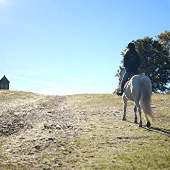 Poney-Club de Verrière - LA GRANDE-VERRIERE