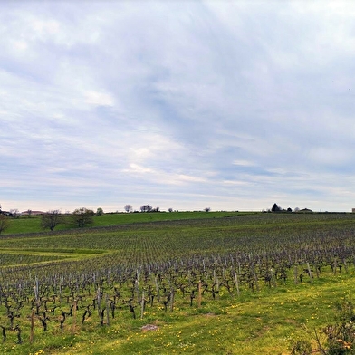 Circuit de randonnée : Circuit des coteaux à Livry