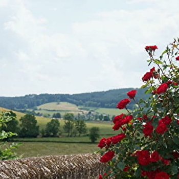 Randonner à Lucenay  - LUCENAY-L'EVEQUE