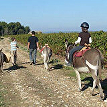 Au pas de l'Ane - MOURON-SUR-YONNE