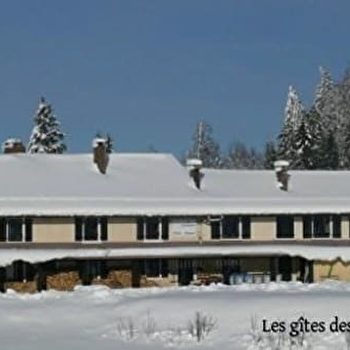 Les Jonquilles - LES ROUSSES