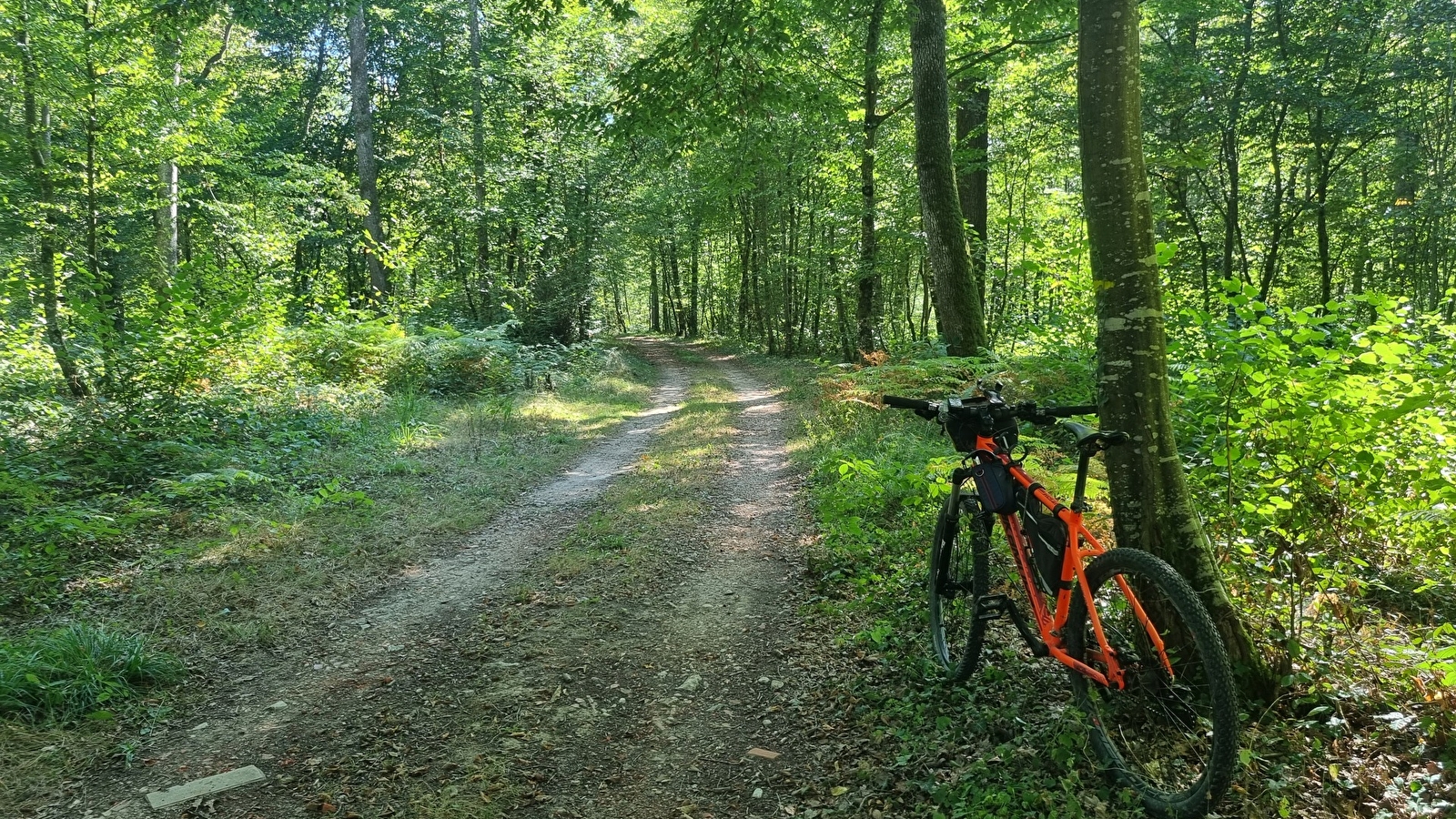 Circuit VTT-VTC n°6 Chemins des bois de Bresse (petite boucle)
