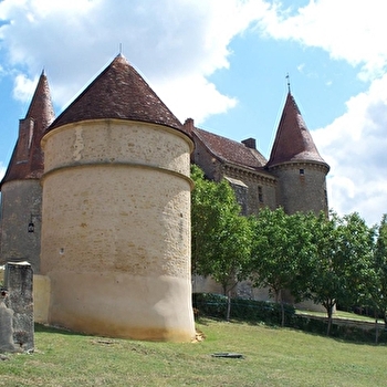 Le Colombier du Vieux Château - CHASSY