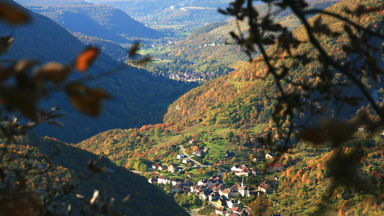 Moine de la Vallée - n° 29