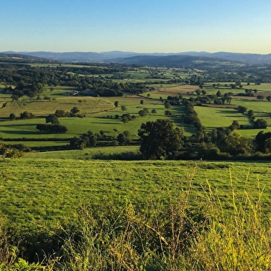 les Jardins d’Agapanthes