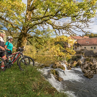 Les Pertes de l'Ain à VTT - 62B