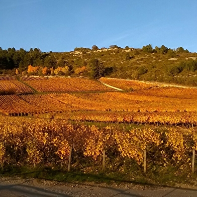 Coup d’œil, Coup de cœur à Auxey-Duresses
