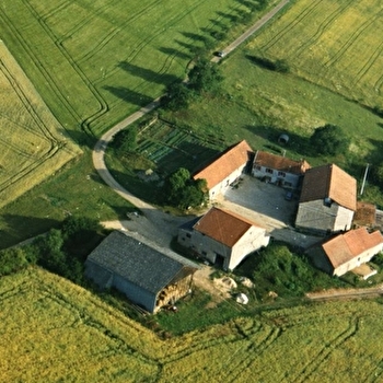 FERME DE BORGIRAULT - GRANCEY-LE-CHATEAU-NEUVELLE