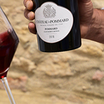 Dégustation 'Découverte de la Bourgogne' - Château de Pommard - POMMARD