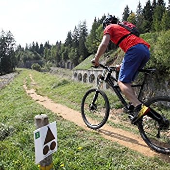 Tour du Fort des Rousses - 2V - LES ROUSSES