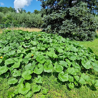 Domaine Le Puits du Moulin