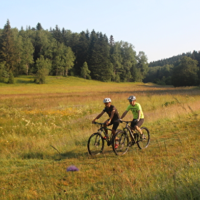 Parcours VTT 62 vert - Le Liaz d'Amont - Espace FFC Ain Forestière
