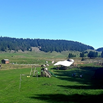 Aire naturelle de camping - La Ferme de l'Enquerne - LA PESSE