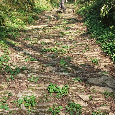 Randonnée - St Rémy du Mont et le Plateau de Vergongeat