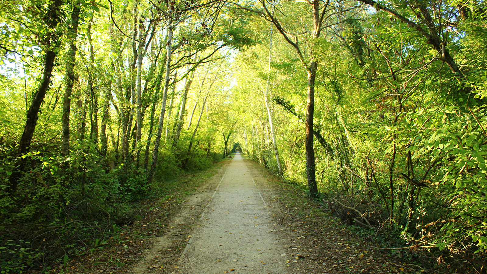Voie verte : Gex-Divonne, par l'ancienne voie ferrée