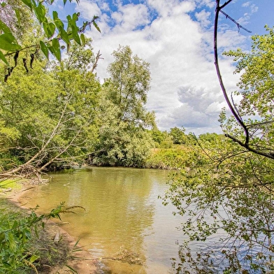 Domaine du Vieux Moulin