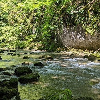 Sentier Courbet 6 : Le Ravin du Puits Noir, l'atelier en nature - SCEY-MAISIERES