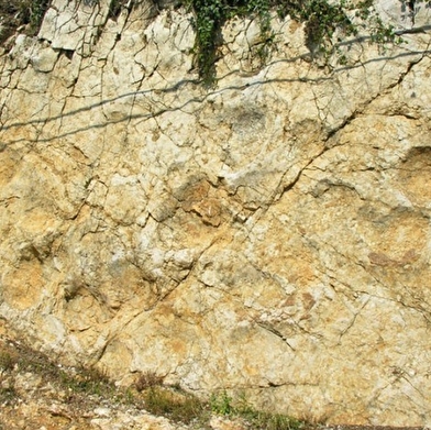 Empreintes de dinosaures à Coisia