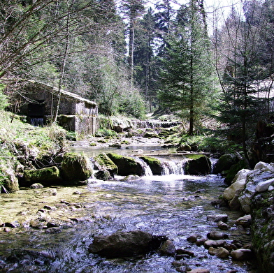 Dans la forêt, coule la Sarsouille - Parcours marche nordique n°1