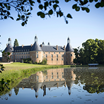 Château de Saint-Fargeau - SAINT-FARGEAU