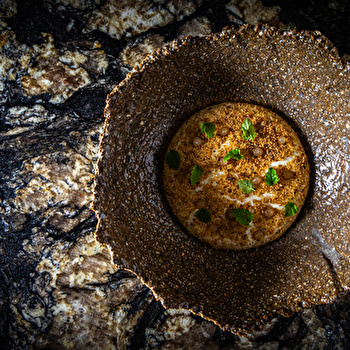 Bourgeon - NUITS-SAINT-GEORGES