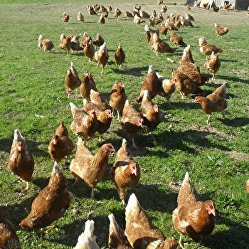 Ferme de Viennette - E.s.a.t de Montret - MONTRET