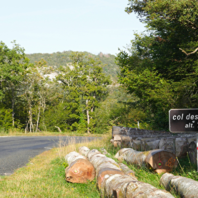 Itinérance l'Ain à Vélo - Le Bugey, paradis des chasseurs de cols (3 jours)