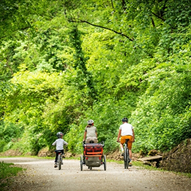 La Voie PLM Perrigny Chatillon